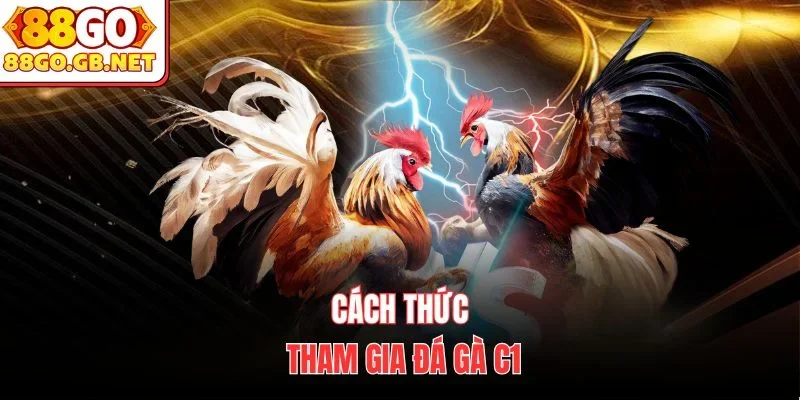 Cách thức tham gia đá gà C1
