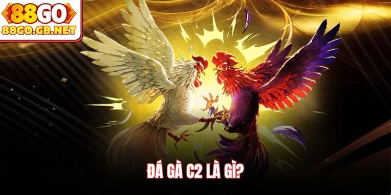 Đá gà C2 là gì?