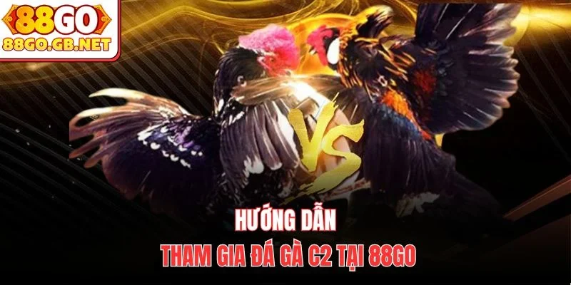 Hướng dẫn tham gia đá gà c2 tại 88Go