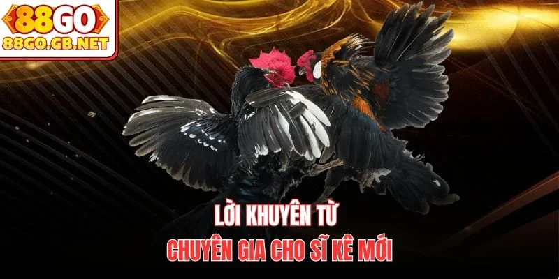 Lời khuyên từ chuyên gia cho sĩ kê mới