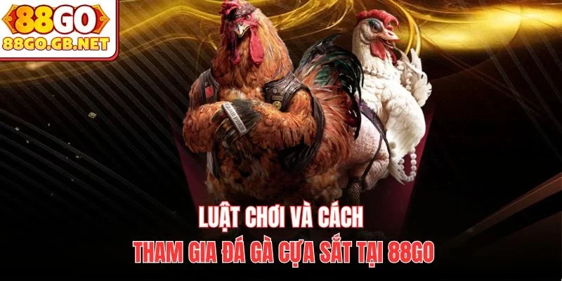 Luật chơi và cách tham gia đá gà cựa sắt tại 88Go