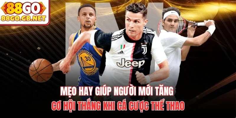 Mẹo hay giúp người mới tăng cơ hội thắng khi cá cược thể thao