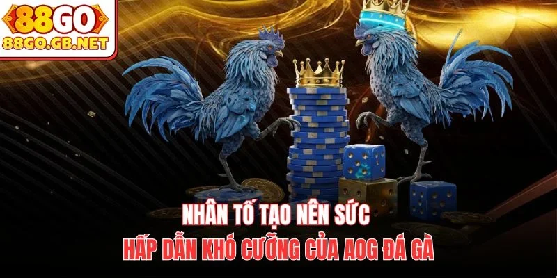 Nhân tố tạo nên sức hấp dẫn khó cưỡng của AOG Đá Gà