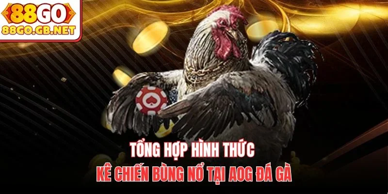 Tổng hợp hình thức kê chiến bùng nổ tại AOG Đá Gà